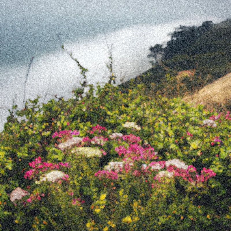 Lost Coast Candle